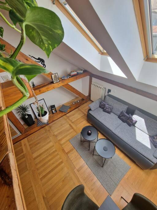 Captain Misha'S Place Belgrado Exterior foto